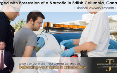 Charged with Possession of a Narcotic in British Columbia, Canada? Understand What It Means